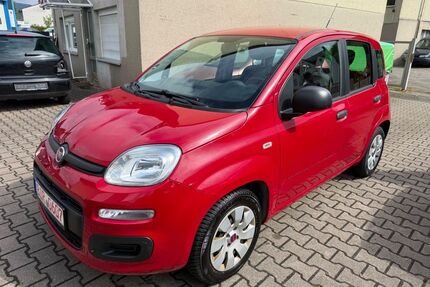 Fiat Panda Gebrauchtwagen