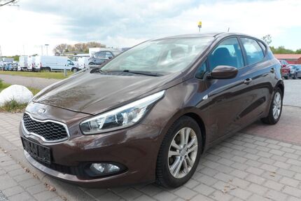 Kia ceed / Ceed Gebrauchtwagen