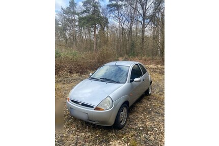 Ford Ka Gebrauchtwagen
