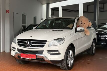 Mercedes-Benz ML 250 Gebrauchtwagen