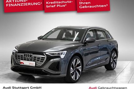 Audi Q8 e-tron Gebrauchtwagen