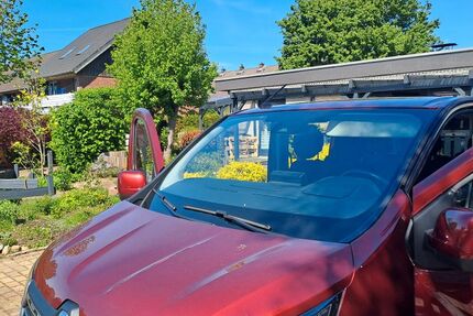 Renault Trafic Gebrauchtwagen