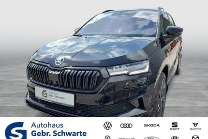 Skoda Karoq Gebrauchtwagen