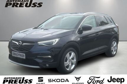 Opel Grandland (X) Gebrauchtwagen