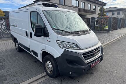 Fiat Ducato Gebrauchtwagen