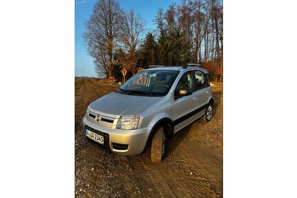 Fiat Panda Gebrauchtwagen