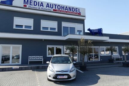 Ford Fiesta Gebrauchtwagen
