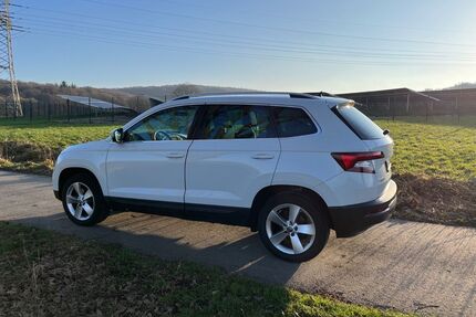 Skoda Karoq Gebrauchtwagen