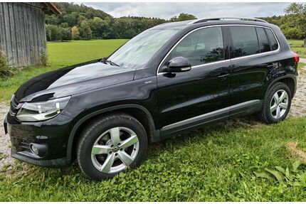 VW Tiguan Gebrauchtwagen