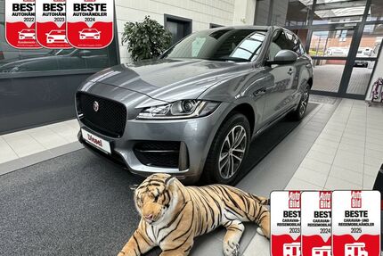 Jaguar F-Pace Gebrauchtwagen