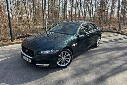 Jaguar XF Gebrauchtwagen
