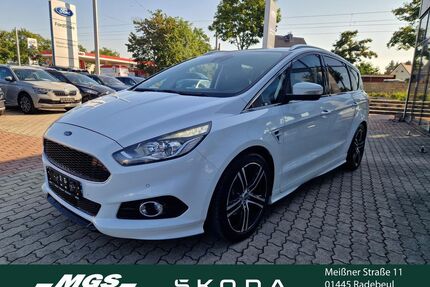 Ford S-Max Gebrauchtwagen