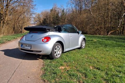 VW Beetle Gebrauchtwagen
