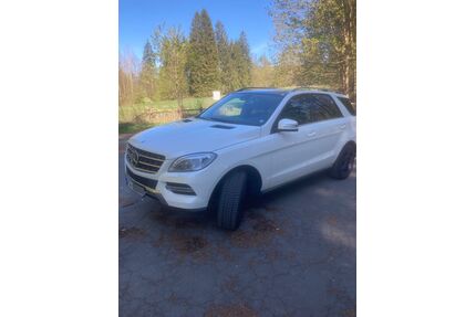 Mercedes-Benz ML 350 Gebrauchtwagen