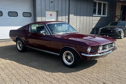 Ford Mustang Gebrauchtwagen