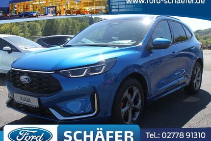 Ford Kuga Gebrauchtwagen