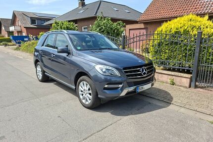 Mercedes-Benz ML 250 Gebrauchtwagen