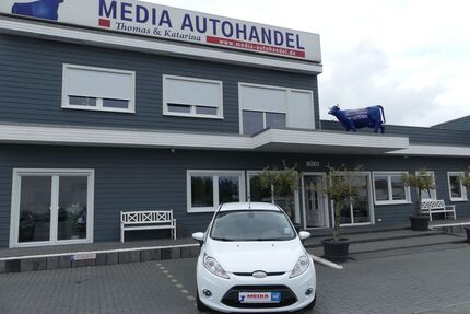 Ford Fiesta Gebrauchtwagen