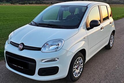 Fiat Panda Gebrauchtwagen