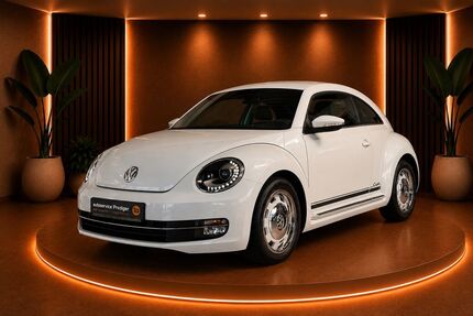 VW Beetle Gebrauchtwagen