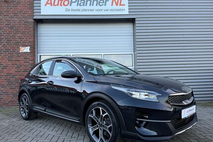 Kia XCeed Gebrauchtwagen