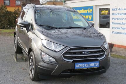 Ford EcoSport Gebrauchtwagen