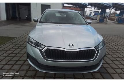 Skoda Octavia Gebrauchtwagen