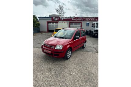 Fiat Panda Gebrauchtwagen