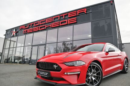 Ford Mustang Gebrauchtwagen