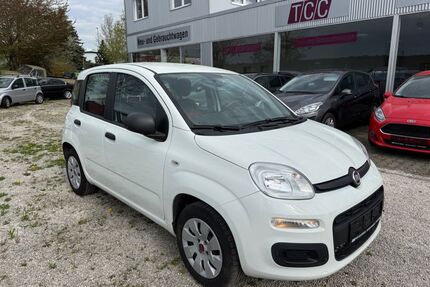 Fiat Panda Gebrauchtwagen