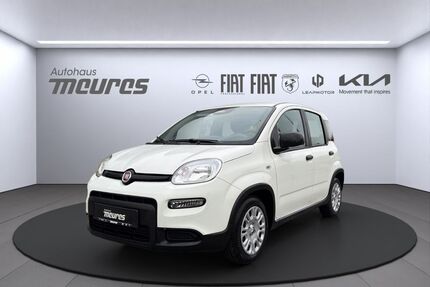 Fiat Panda Gebrauchtwagen