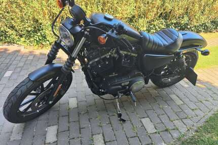 Harley Davidson XL 883 Gebrauchtwagen