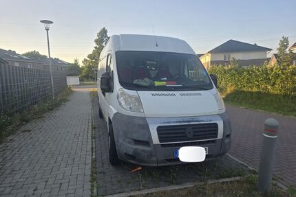 Fiat Ducato Gebrauchtwagen
