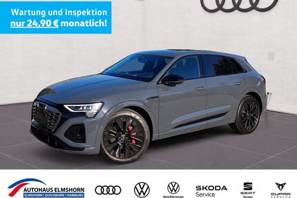 Audi Q8 e-tron Gebrauchtwagen