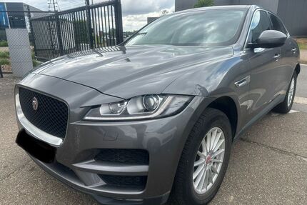 Jaguar F-Pace Gebrauchtwagen
