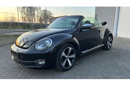 VW Beetle Gebrauchtwagen