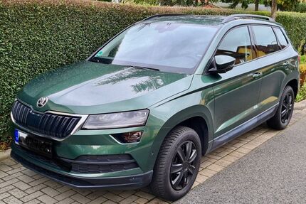 Skoda Karoq Gebrauchtwagen