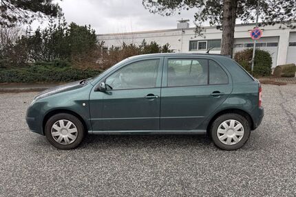 Skoda Fabia Gebrauchtwagen