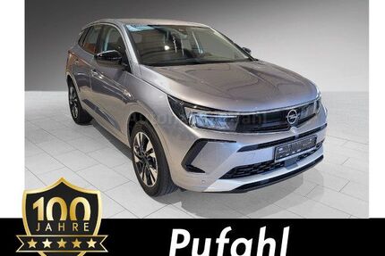 Opel Grandland (X) Gebrauchtwagen