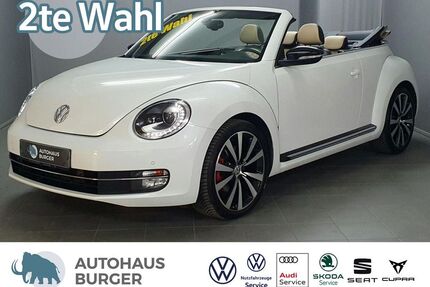 VW Beetle Gebrauchtwagen