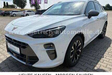Cupra Terramar Gebrauchtwagen