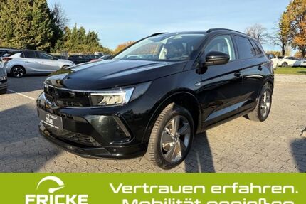 Opel Grandland (X) Gebrauchtwagen