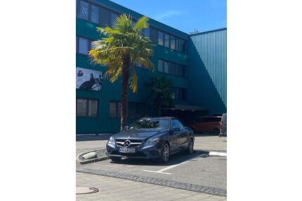 Mercedes-Benz E 350 Gebrauchtwagen