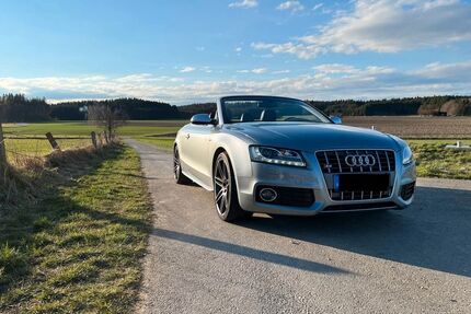 Audi S5 Gebrauchtwagen