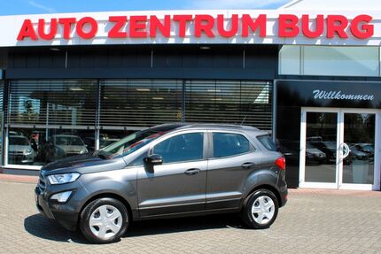 Ford EcoSport Gebrauchtwagen