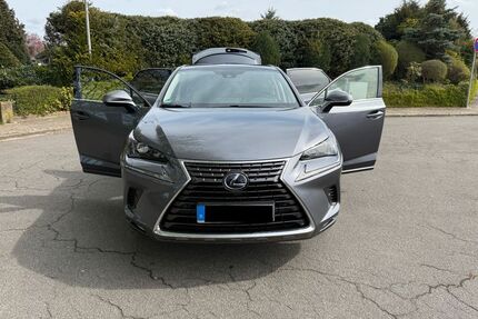 Lexus NX 300 Gebrauchtwagen