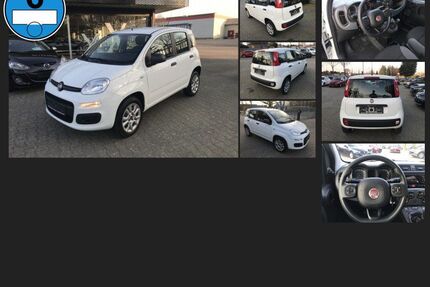 Fiat Panda Gebrauchtwagen