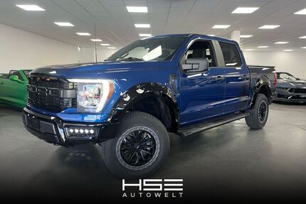 Ford F 150 Gebrauchtwagen