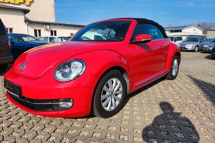 VW Beetle Gebrauchtwagen