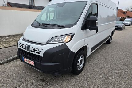 Fiat Ducato Gebrauchtwagen